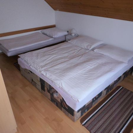 Ubytovani U Machova Jezera - Apartmany - Ludmila Grulisova ドクシ エクステリア 写真