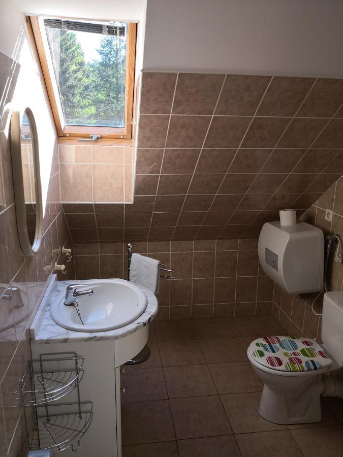 Ubytovani U Machova Jezera - Apartmany - Ludmila Grulisova ドクシ エクステリア 写真