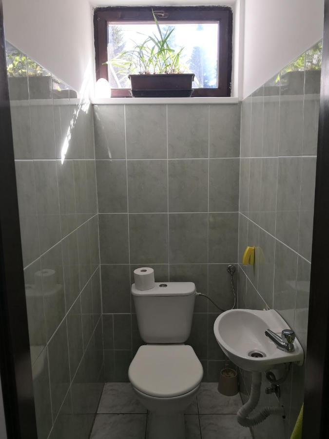 Ubytovani U Machova Jezera - Apartmany - Ludmila Grulisova ドクシ エクステリア 写真